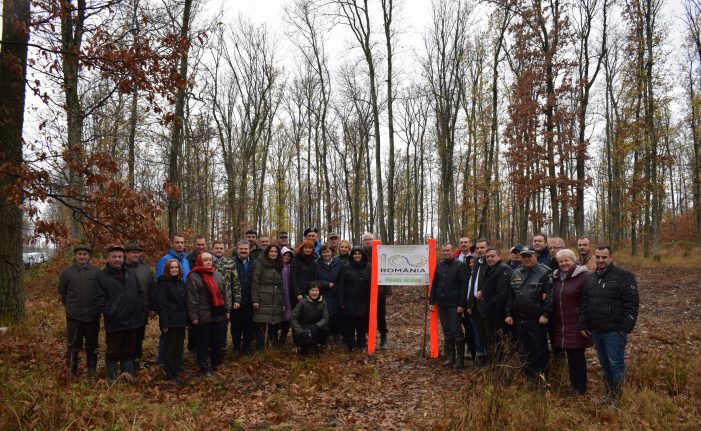 In cinstea Centenarului. Directorii de institutii au iesit la plantat copaci (Foto)