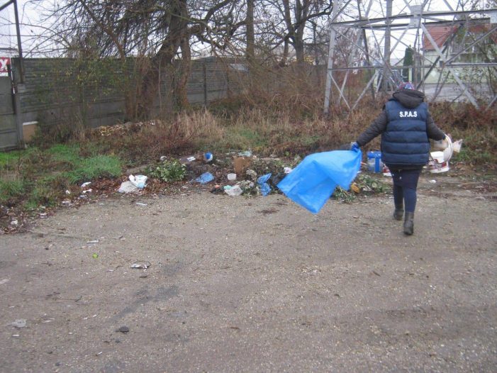 Asistații sociali au fost scosi la muncă în oraș (Foto)