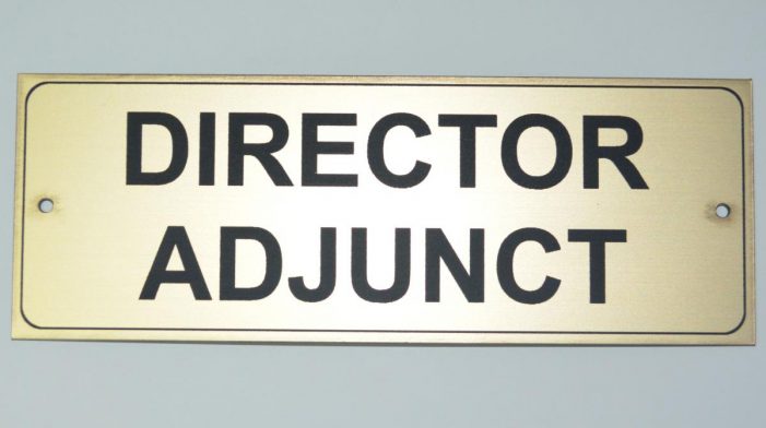 Se caută director adjunct la ADP. Vezi condițiile