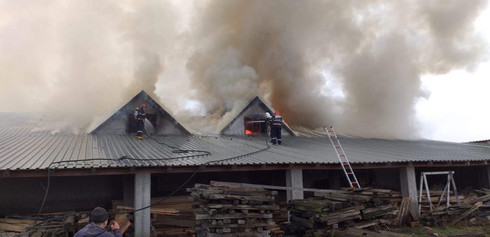 Incendiu în Balta Blondă. O tâmplărie a luat foc (Foto&video)