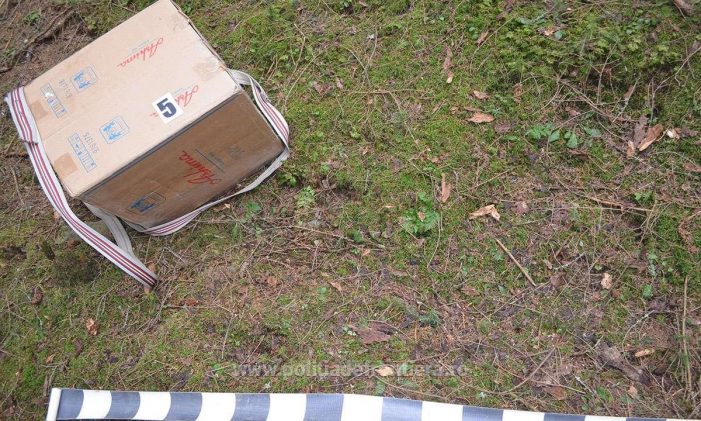 Focuri de armă la frontieră. Contrabandiștii au scăpat