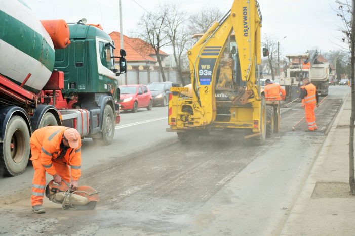 A început marea plombare la Satu Mare (Foto)