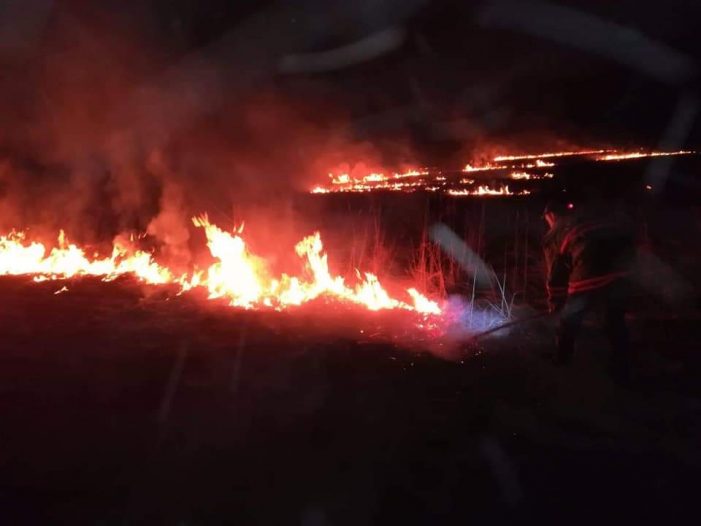 5 incendii de vegetație uscată, într-o singură zi (Foto)