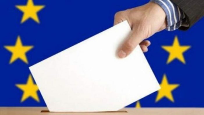 Alegeri europarlamentare. Desemnarea judecătorilor în BEJ Satu Mare