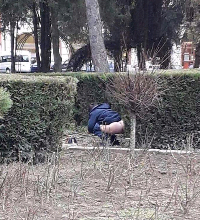 Femeia care și-a făcut nevoile în parc, amendată