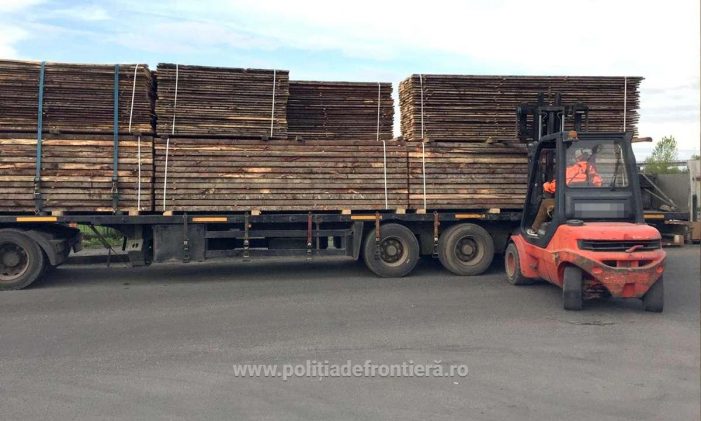 Țigări ascunse printre cherestea (Foto)