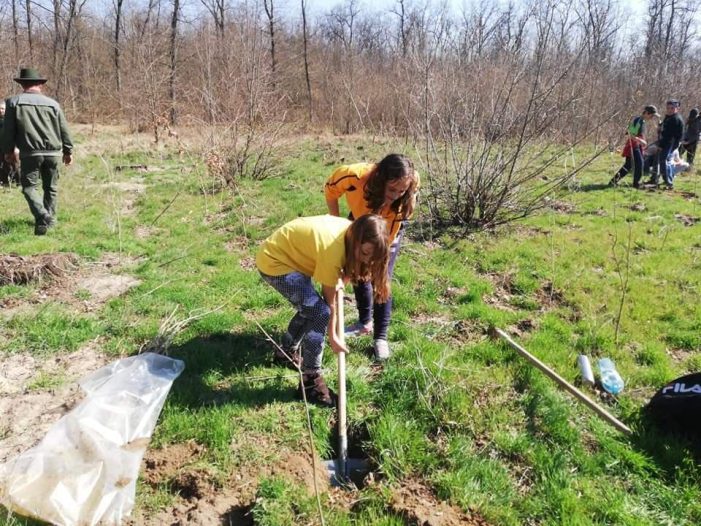 Peste 100 de tineri, pădurari pentru o zi (Foto)