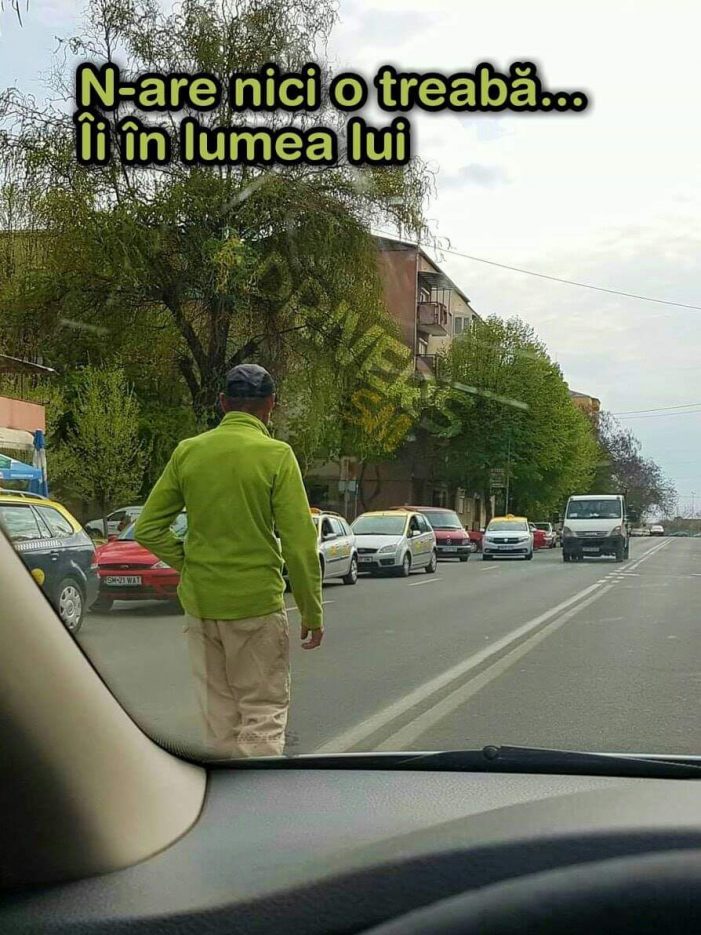 Nebunie curată ! Se plimbă pe mijlocul drumului (Foto)