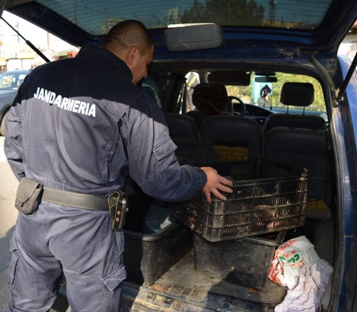Au pescuit şi s-au ales cu dosare penale