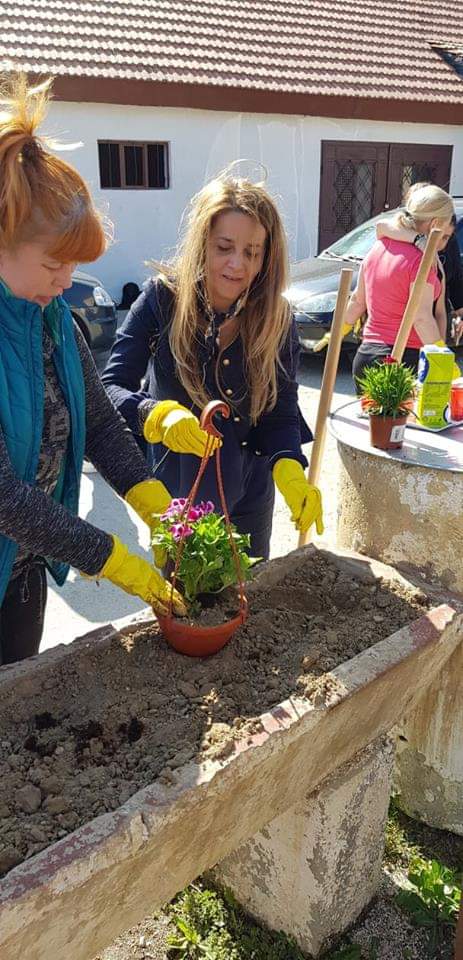 Colțișor de rai la o casa de tip familial (Foto)