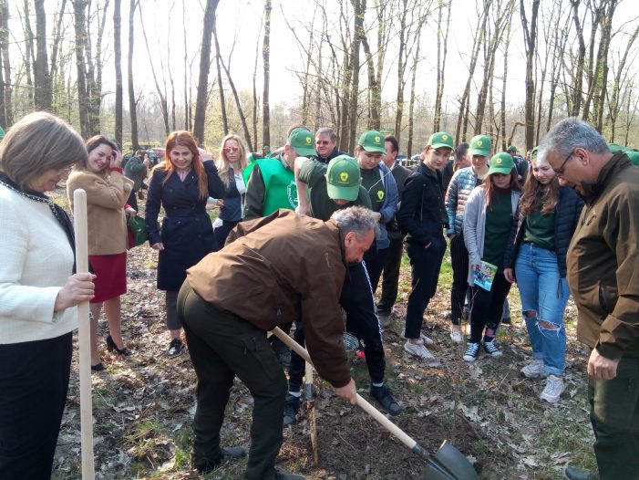 Ministrul Apelor și Pădurilor la plantat de puieți. Acțiune în Pădurea Mujdeni (Foto)