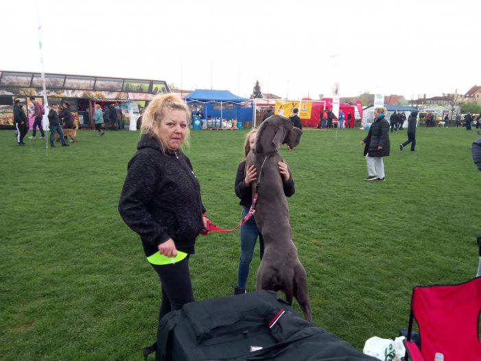 Spectacol canin la Satu Mare (Foto)