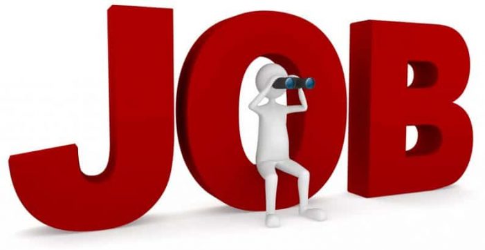 439 locuri de muncă vacante oferite de către Agenția Județeană pentru Ocuparea Forței de Muncă Satu Mare