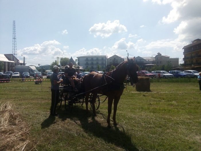 Spectaculos concurs hipic la Tășnad! Cai masivi și ponei s-au întrecut la proba de atelaj-viteză (galerie foto&video)