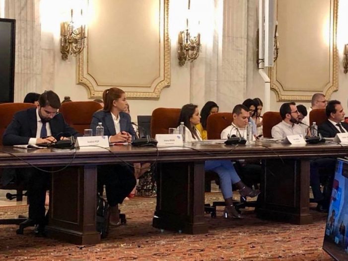 Ioana Bran, la un forum la nivel înalt despre securizarea frontierelor europene