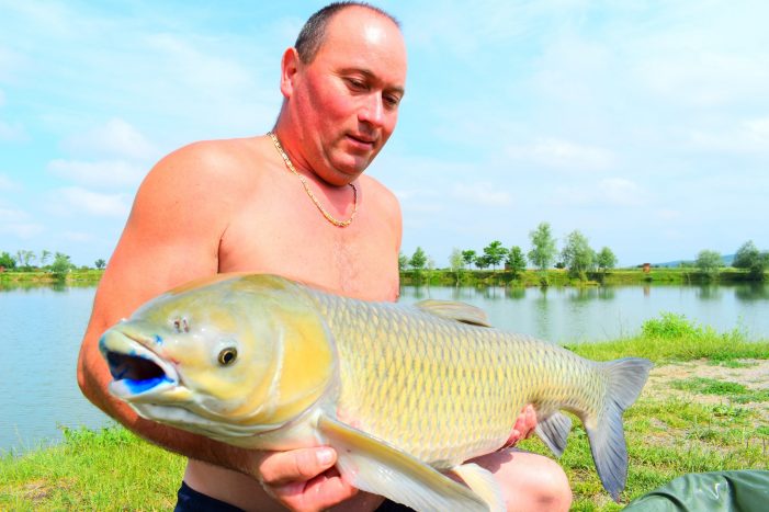 Capturi de peste 9-10 kg făcute în weekend de pasionați pescari sătmăreni de toate vârstele(foto/video)