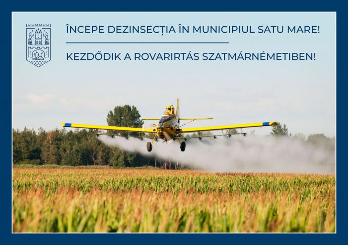 Există vreun pact secret între țânțari și Primăria Satu Mare ? Că dezinsecția promisă nu-i nicăieri
