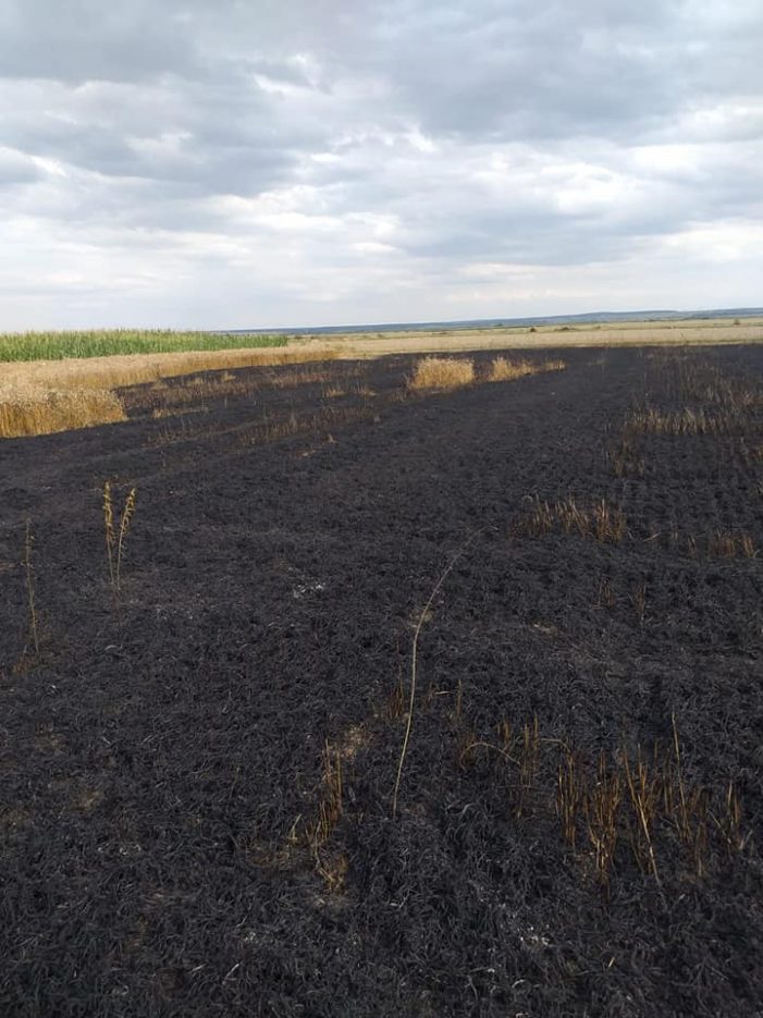 O țigară aruncată aiurea a transformat în cenușă munca de o vară. Pompierii au blocat extinderea incendiului (foto)
