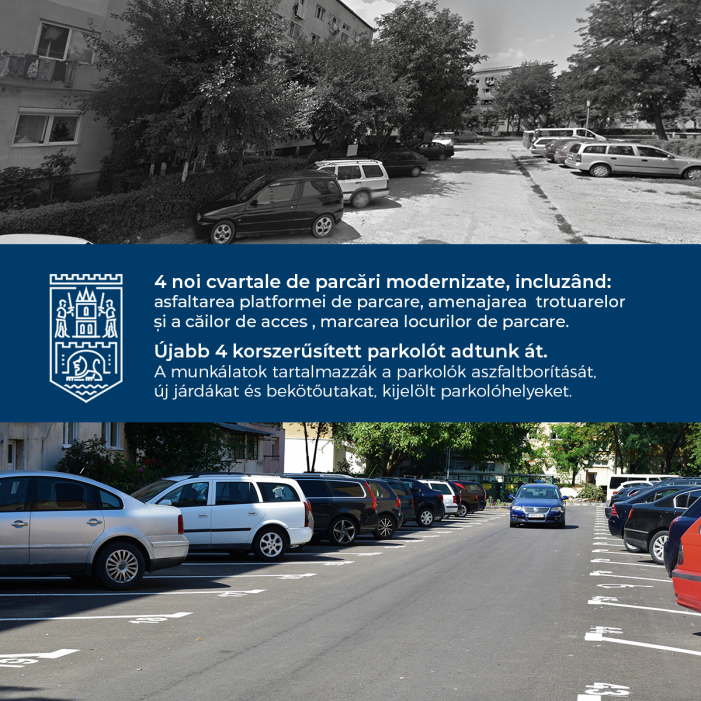 Marcaje cu vopsea albă sub amenințarea tăierii mașinilor cu drujba (foto)