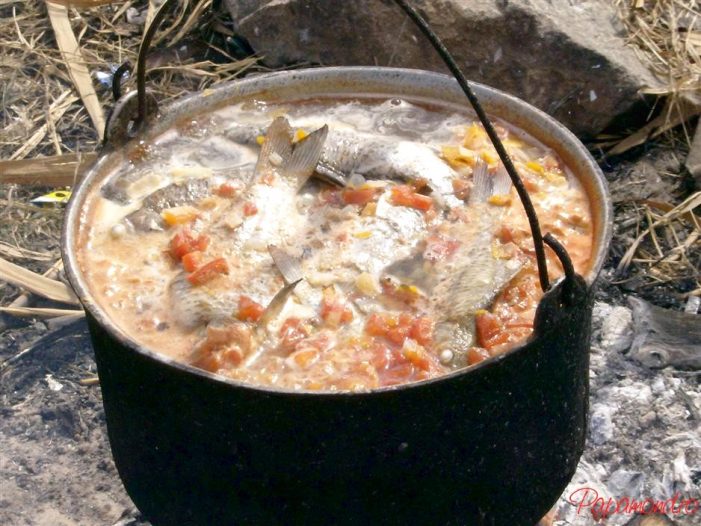 Concurs între România și Ungaria pe ciorbă de pește. Plus o competiție între pescari de Someș și cei de baltă
