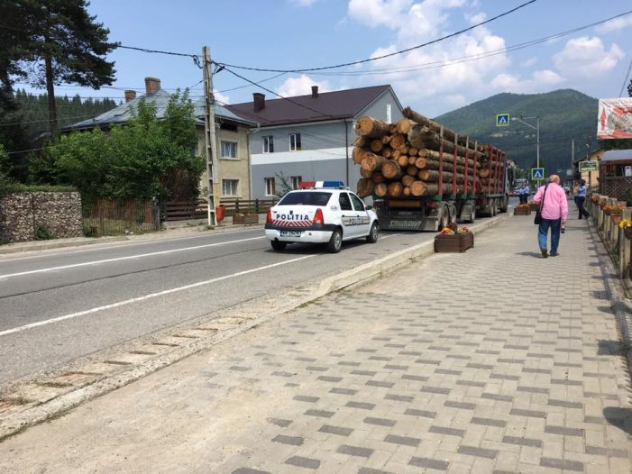 Polițiștii au controlat depozite de lemne din Țara Oașului. Au și confiscat mult – 61,44 metri cubi de masă lemnoasă