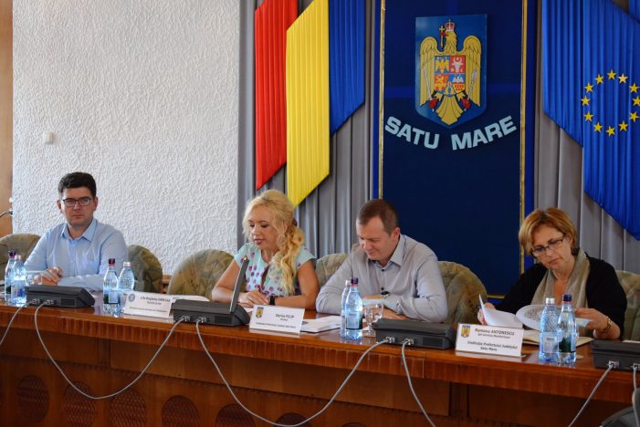 Ministerul Românilor de Pretutindeni face campanie de informare la Satu Mare (foto)