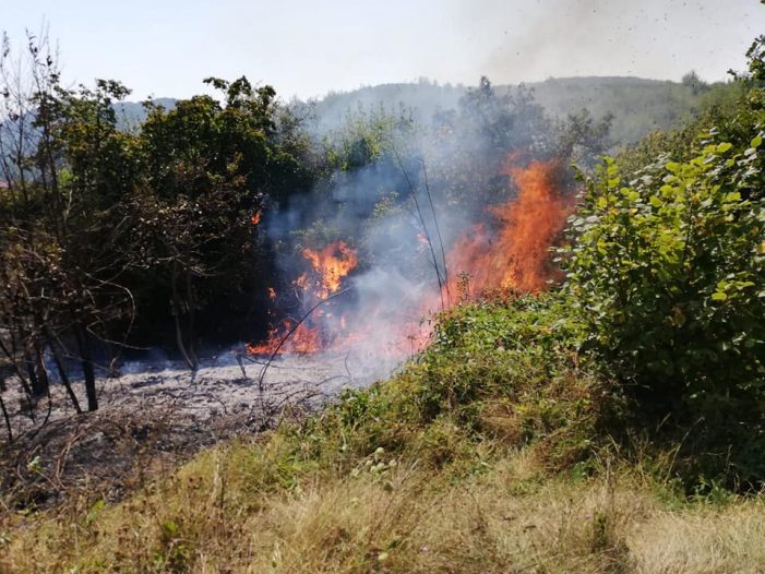 Foc aprins aiurea într-o pădurice a provocat ditamai incendiul (foto)