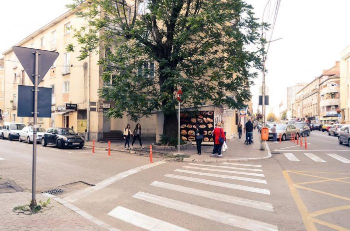 Uniți, locatarii unor blocuri au lămurit Primăria Satu Mare să nu mai taie copaci aiurea