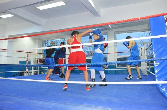 La Satu Mare se va deschide singurul Centru Olimpic de Tineret pentru box din Transilvania. Cine sunt sătmărenii care l-au inițiat (foto)