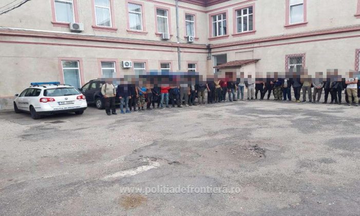 Trafic de migranți în județul Satu Mare. Azi dimineață, zeci de afgani prinși (galerie foto-video)