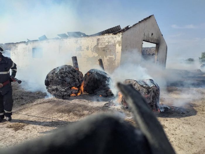 O țigară aruncată aiurea a ucis 150 de miei. Ore întregi de intervenție a pompierilor (foto)