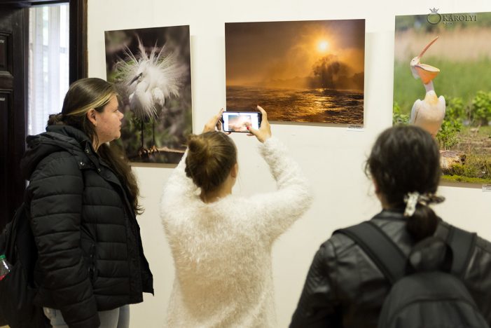 FOTO. Zeci de adolescenți s-au înghesuit să admire Delta Dunării. Doar fotografii ale acesteia, deocamdată