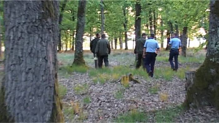Suspiciune de ucidere a unui pădurar de către tăietori clandestini de copaci (foto)