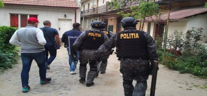 Ecstasy, canabis și cocaină – drogurile găsite azi la o rețea de traficanți din județul Satu Mare (galerie foto)