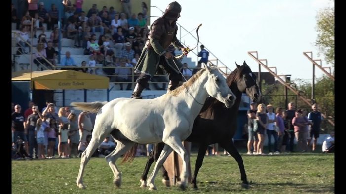Spectacole ecvestre de excepție, la ZIUA CALULUI. Programul complet al evenimentului