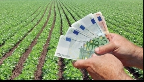 Fermierii maghiari din județul Satu Mare primesc sprijin financiar direct din Ungaria pentru cumpărarea de pământ