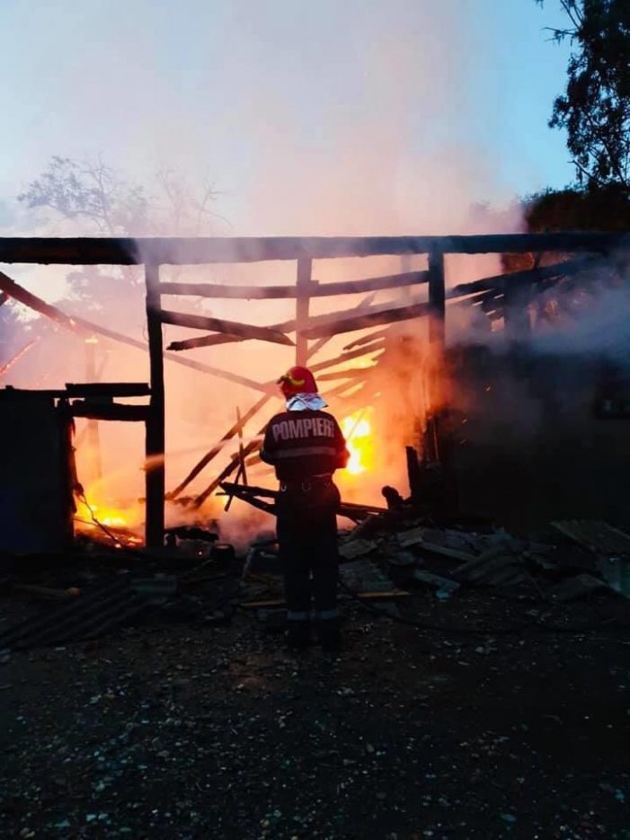 Incendiu azi noapte în Valea Vinului. Vezi ce a ars.