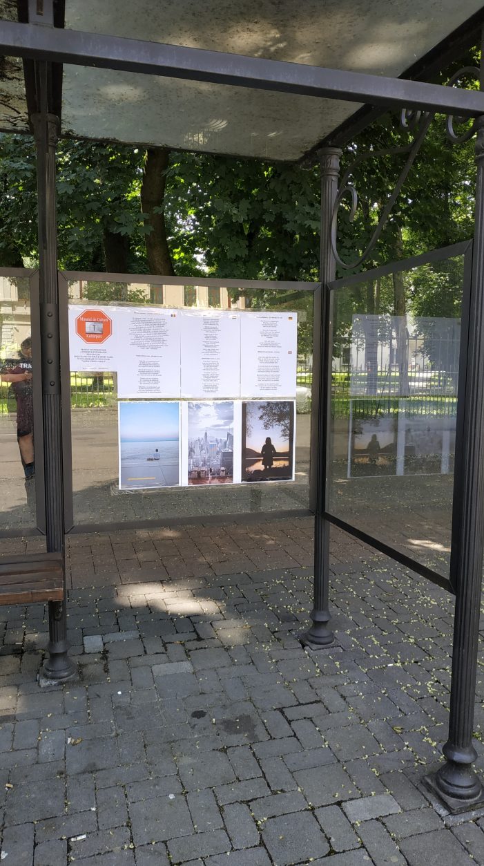 Continuă proiectul „Minutul de cultură” la Carei
