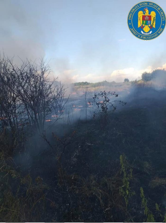 Sute de metri patrati de vegetație uscata, prapadite de foc (Foto)