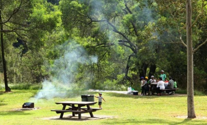 Proiect: Loc de picnic la marginea pasunii Solduba
