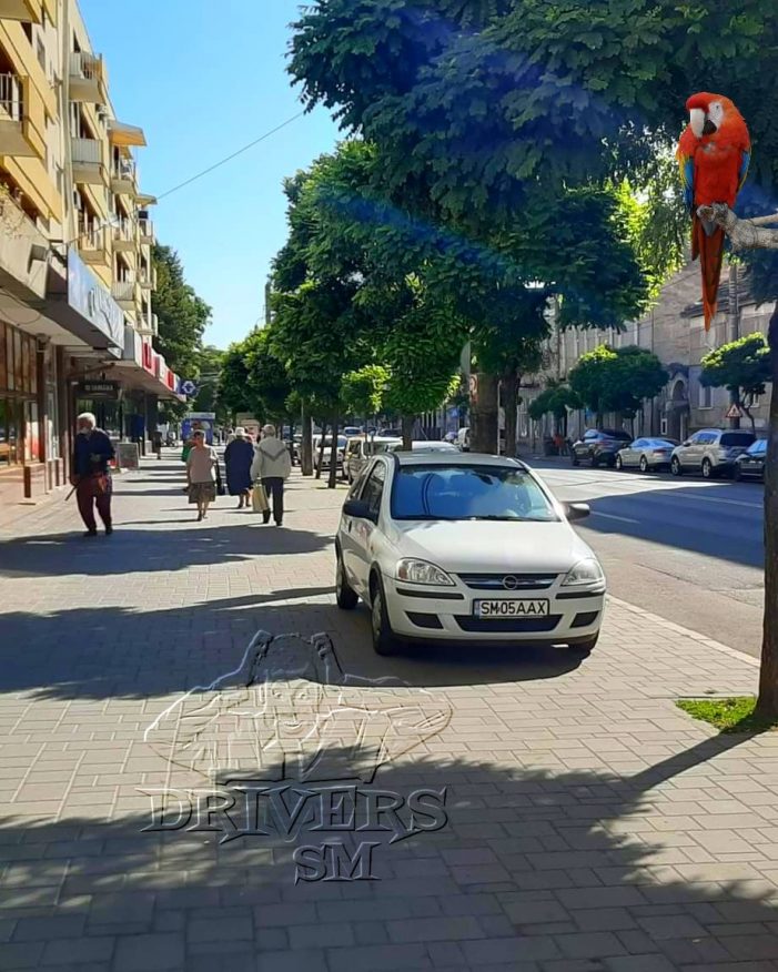 Nesimtire crasa. Așa se întâmpla când unii aspira la vedetisme (Foto)