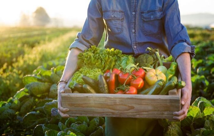 S-a finalizat etapa de semnare a contractelor în cadrul Măsurii 1 „Microgranturi în domeniul agroalimentar”