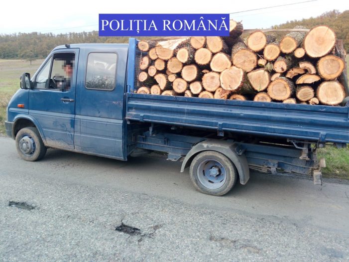 L-au prins cu niște lemne de foc. I-au confiscat „marfa”