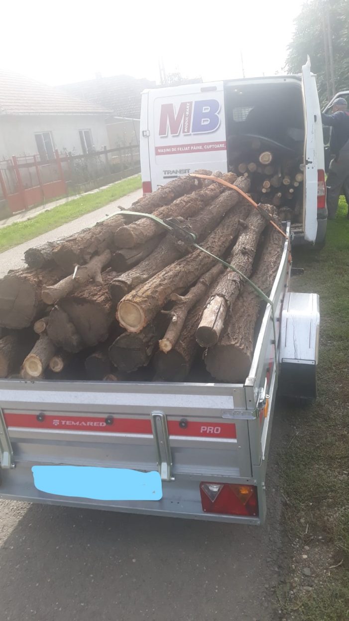 Transporta lemne cu camioneta. Nu avea acte (Foto)