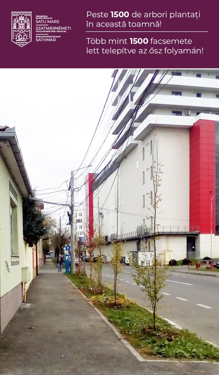 Plantari de puieti pe zeci de străzi din Satu Mare