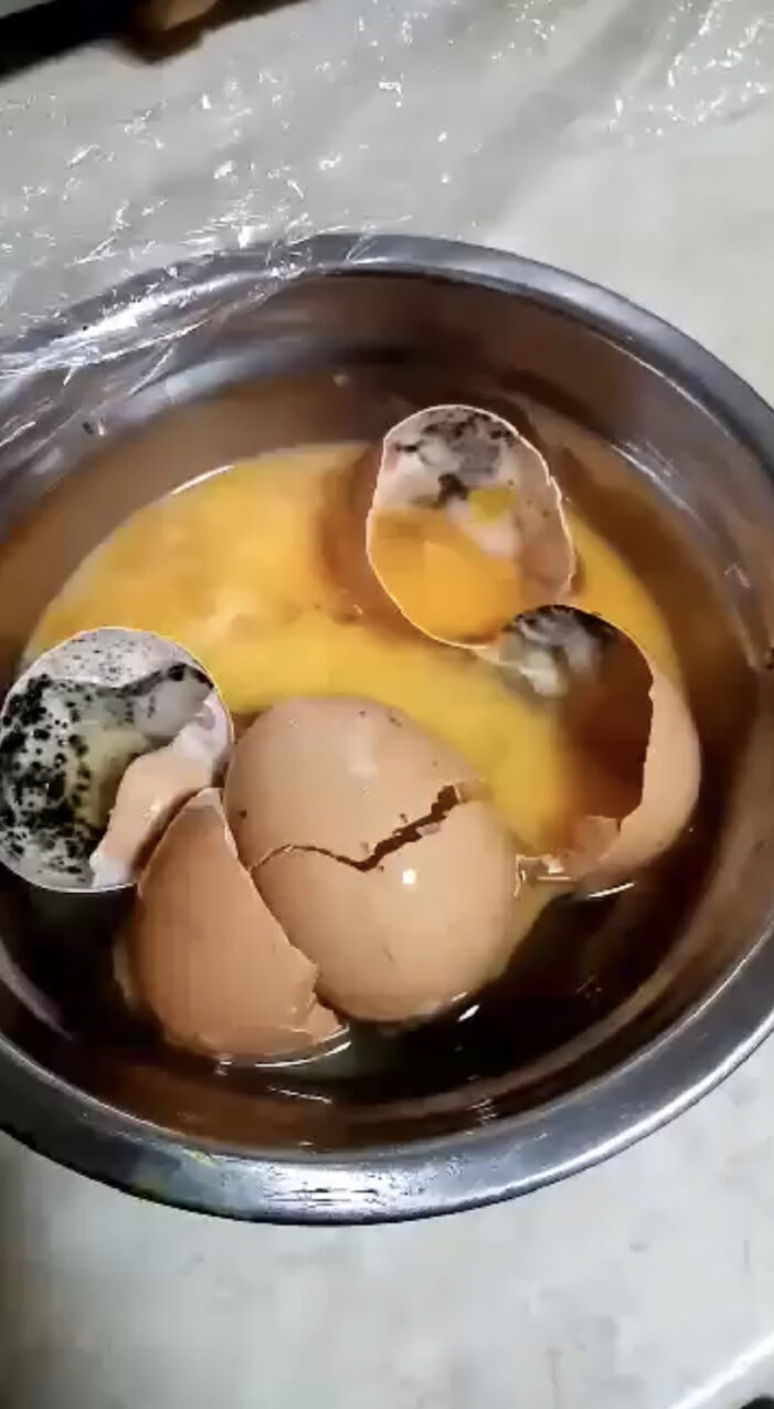 Ouă mucegaite, vândute la un supermarket (Foto)