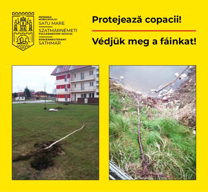 Puietii nou plantati in oras, distrusi