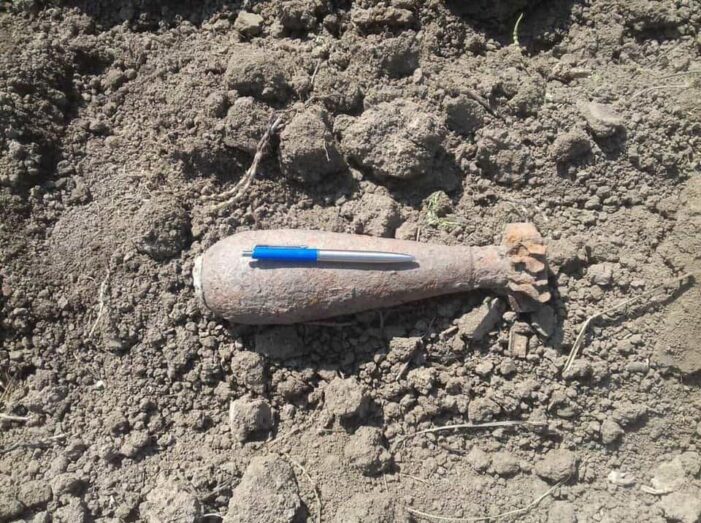 Doua bombe găsite într-o curte din Tasnad (Foto)