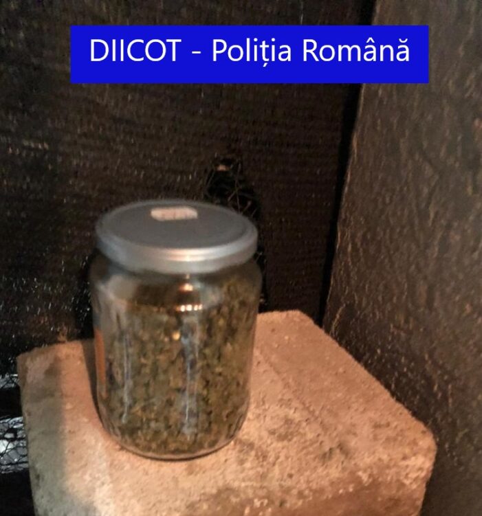 Traficanti de droguri arestati. Au batut si sechestrat un satmarean