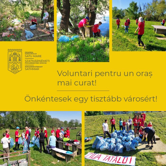 Voluntari pentru un oraș mai curat !